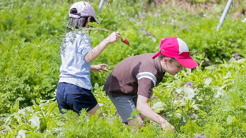Tou-Cheng Leisure Farm Hotel Toucheng Εξωτερικό φωτογραφία