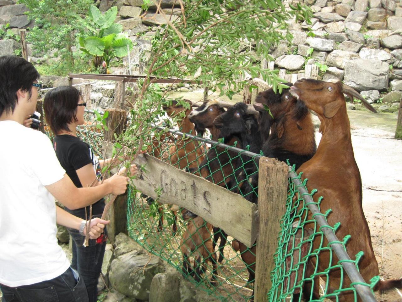 Tou-Cheng Leisure Farm Hotel Toucheng Εξωτερικό φωτογραφία